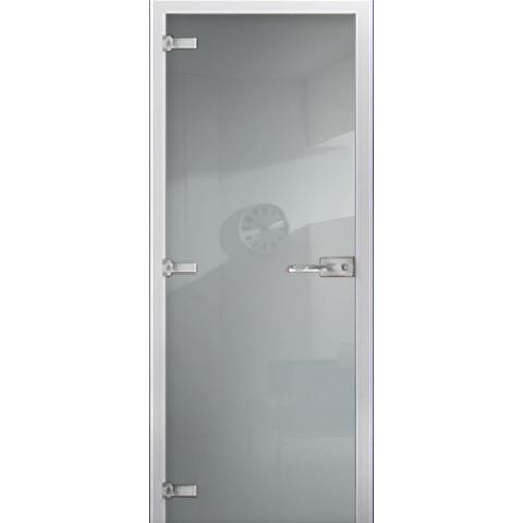 Стеклянная межкомнатная дверь DS RAL 9018