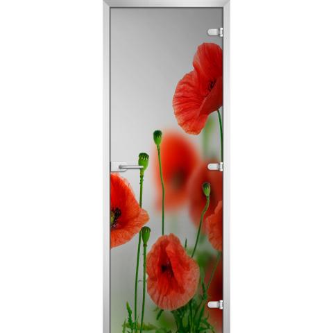 Дверь стеклянная DS Flowers-01