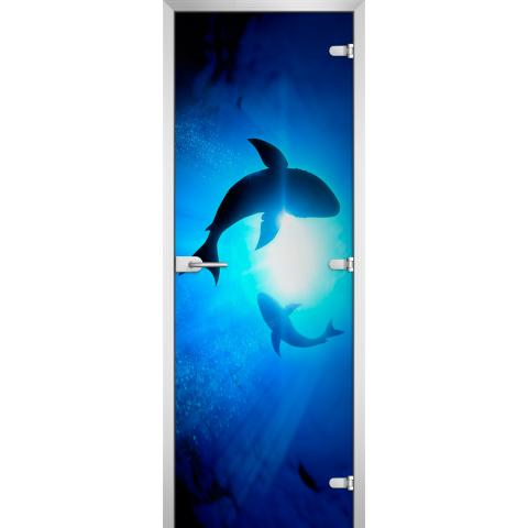 Дверь стеклянная Underwater World-08