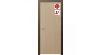 Дверь глухая противопожарная ПДГ.101.(01) PRIME EI 30 RW 29-32