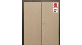 Дверь глухая противопожарная ПДГ.101.(02) PRIME EI 30 RW 29-32 одинаковые створки